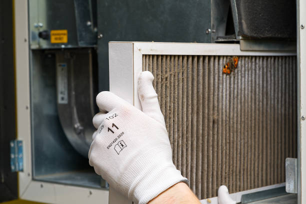 Best Dryer Vent Cleaning Services  in Buhl, ID