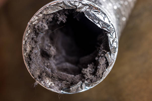 Best Commercial Air Duct Cleaning  in Buhl, ID